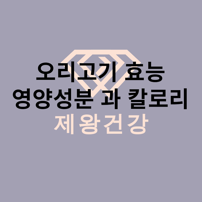 오리 고기 효능 과 영양 성분 칼로리