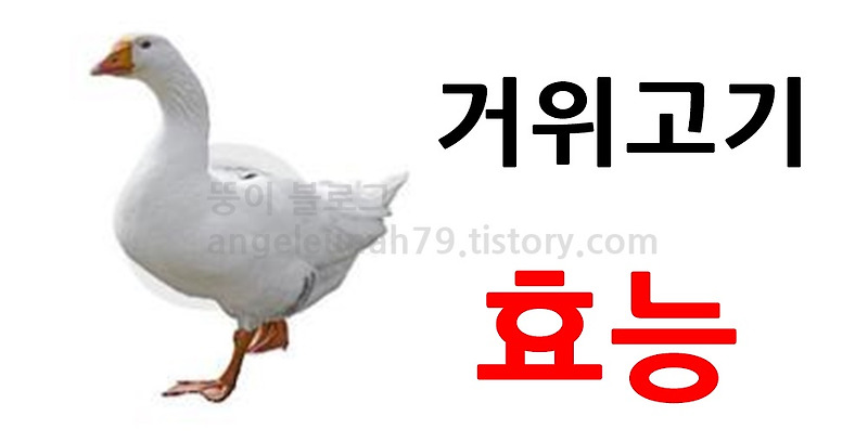 거위 고기 효능 6가지와 부작용 알고 섭치하자구요!