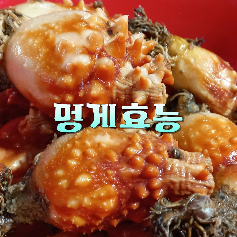 제철수산물 - 멍게 효능 영양성분 고르는 법 부작용