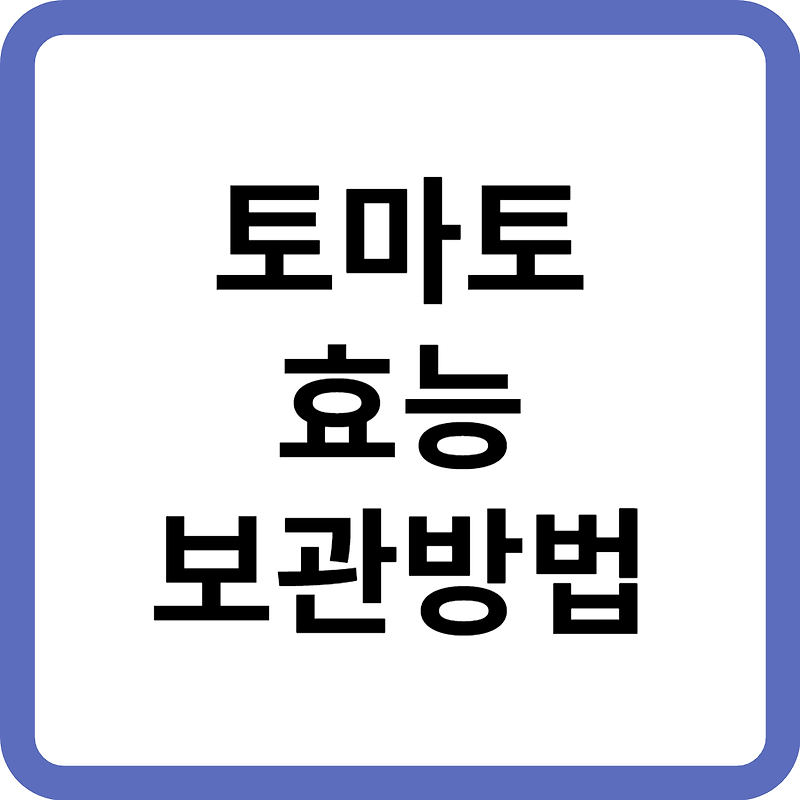 토마토 효능 보관방법 계란볶음