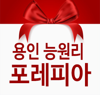 용인 능원리 포레피아 더레이크 타운하우스 후분양 구경하는집