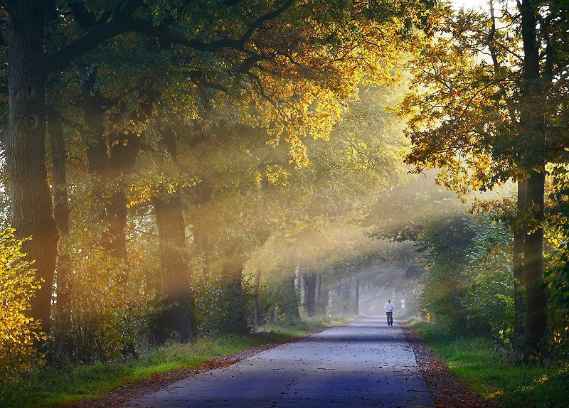 10월 가을 인사말모음 - 일교차 환절기 날씨 아침인사 이미지