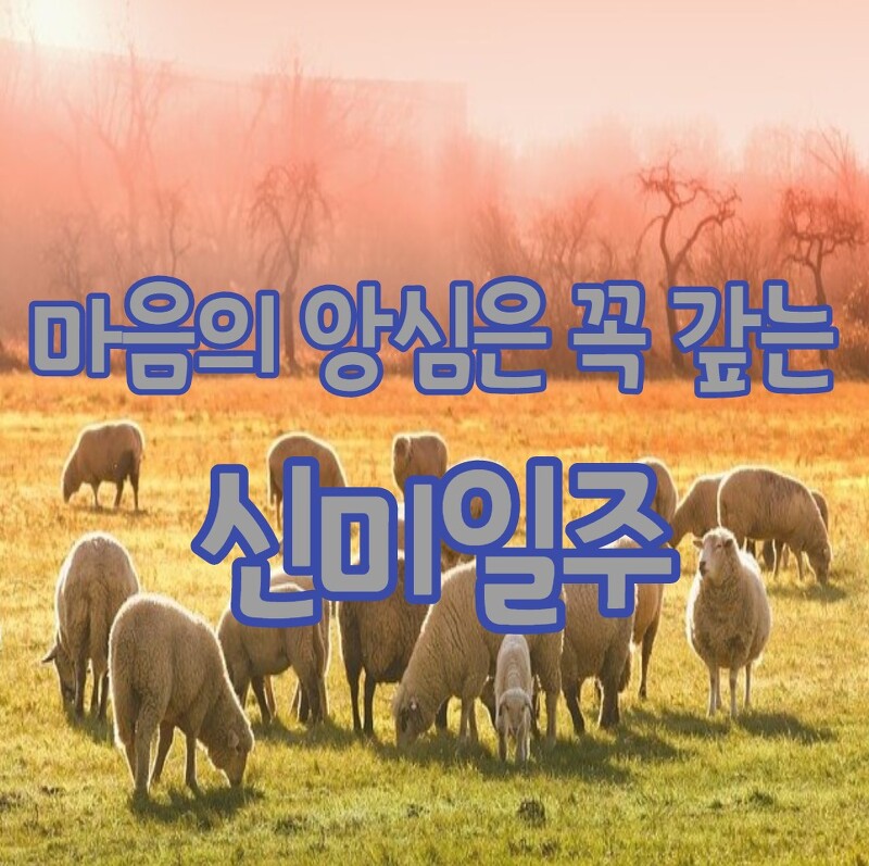 8. 마음의 앙심은 꼭 갚고야마는 신미일주