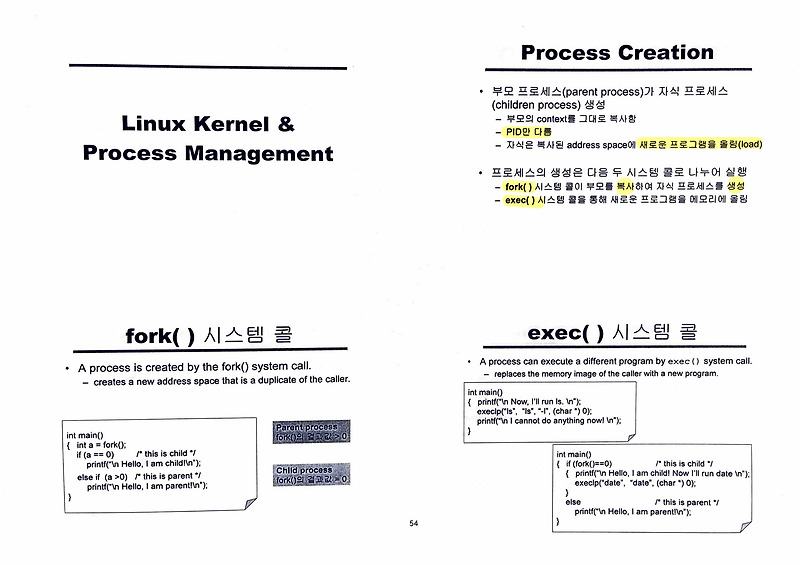 #13 Linux Kernel & Process Management