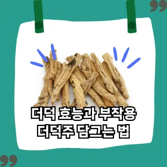 더덕 효능과 부작용 더덕주 담그는 방법