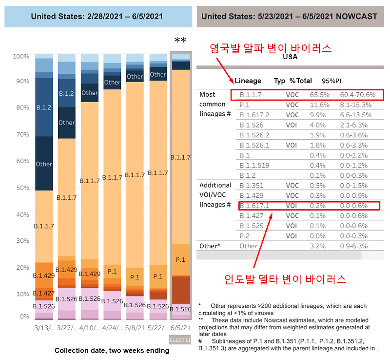 펠리쿠치나의 물근거 :: 변이 바이러스의 발생이유 와 델타 ...