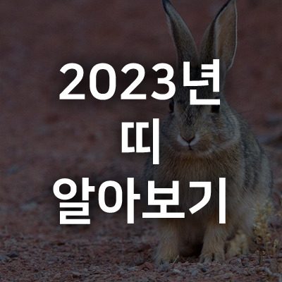 2023년 띠 알아보기