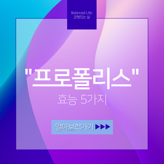 프로폴리스 효능 5가지 복용법 부작용 알아보기