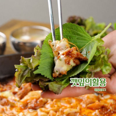 깻잎의 9가지 효능과 영양소 부작용 깻잎순볶음 깻잎볶음 깻잎무침 하는법