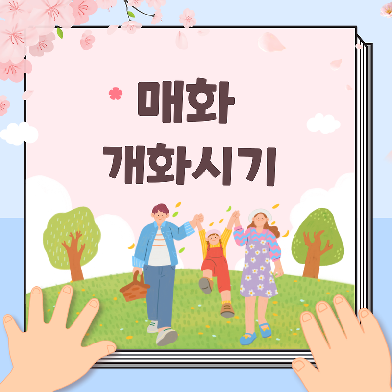 매화 개화시기 2022 꽃 마을 나무 명소 축제 총정리