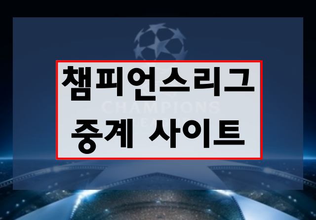 챔피언스리그 생중계 채널, 실시간 사이트 무료 보기방법