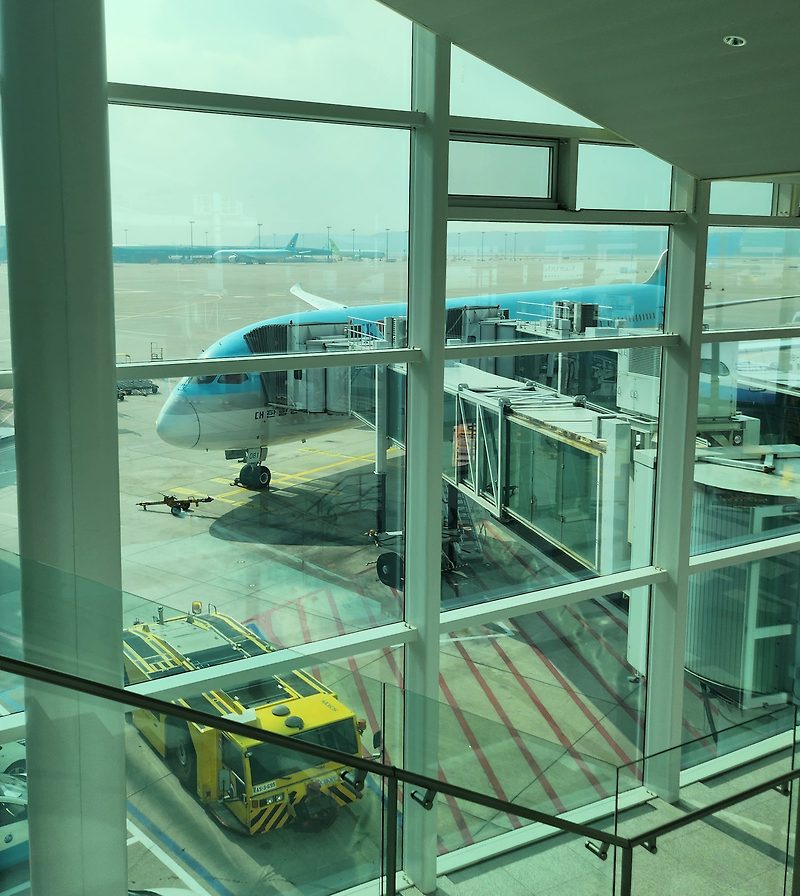 인천-프랑크푸르트 대한항공 B787-9 탑승 후기(2T 식당, 고산병약)