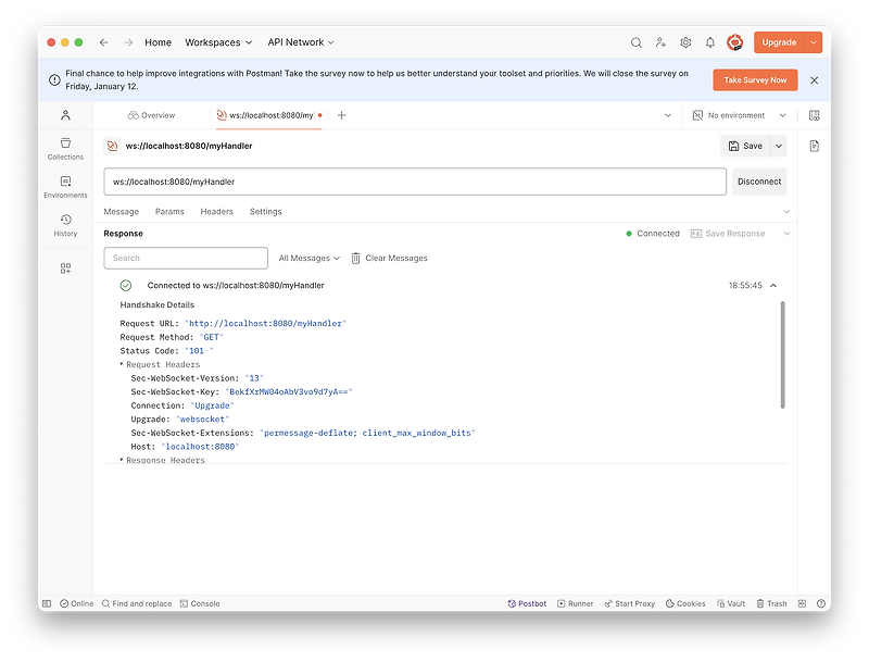  ws spring websocket 