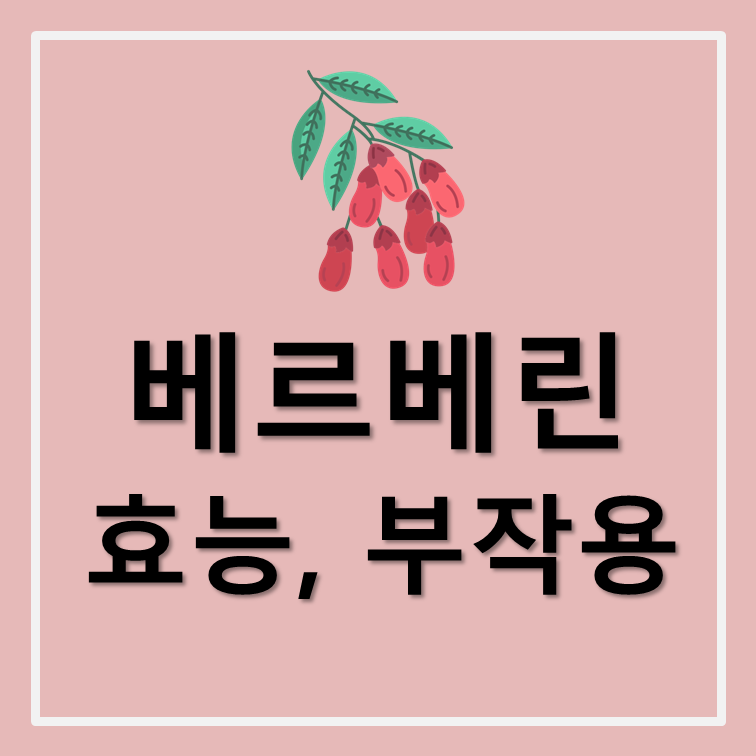 베르베린(Berberine) 장기복용 괜찮을까? - 효능, 부작용