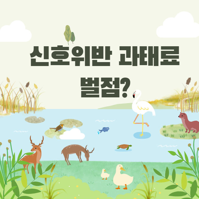 신호위반 과태료 벌점 안내는 경우 - 산토리