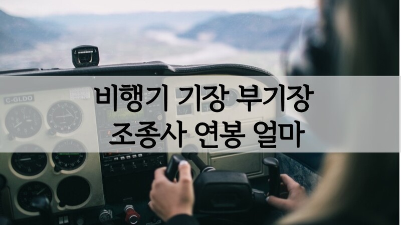 비행기 항공기 기장(부기장) 조종사 연봉(월급) 얼마