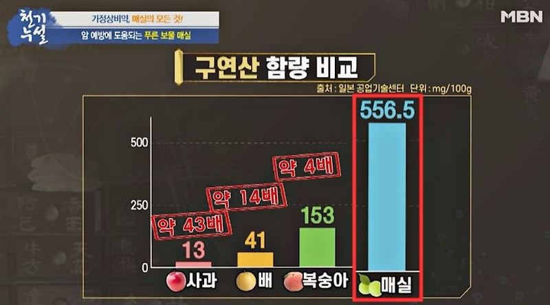 매실 액기스 보관법과 효능 그리고 독성 - 달콤진지 베리남의 보물창고