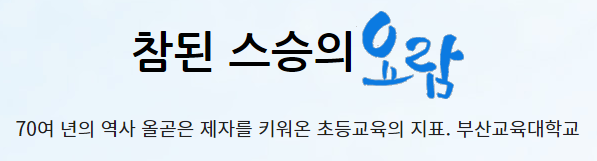 부산교육대학교 ( 부산교대 ) 수시등급 (2022 학년도 수시모집 주요사항 )