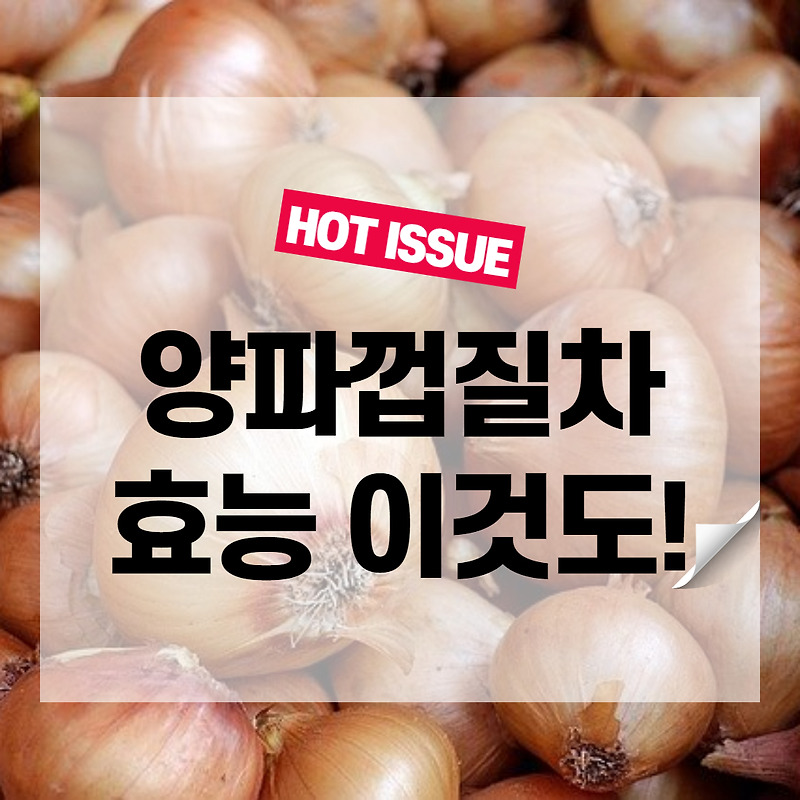 양파의 효능 부작용과 몸에 좋은