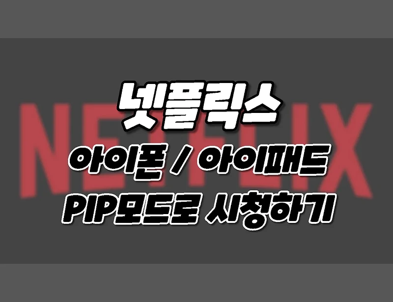 아이폰 .아이패드. 넷플릭스 작은 화면으로 보기 (Netflix PIP모드 활성화방법. 화면속 화면)