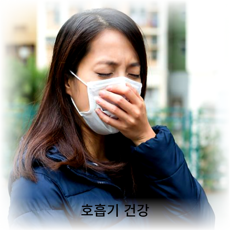 환하게 숨을 쉬다, 호흡기 건강 습관과 차