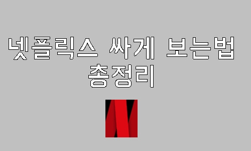 넷플릭스 싸게 보는법 총정리 솔직히 이득