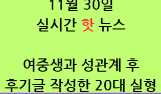 여중학생과 성관계 후기글 쓴 20대 징역 6년
