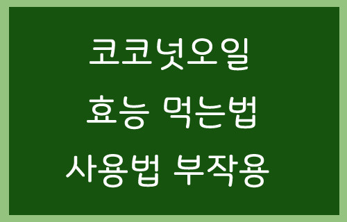 코코넛오일 효능 먹는법 사용법 부작용 알아보자