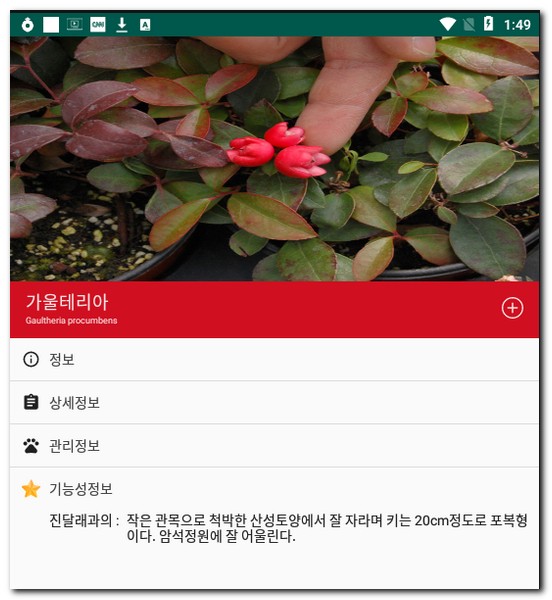 실내 화초 이름 알아보기 종류 사진 찾기