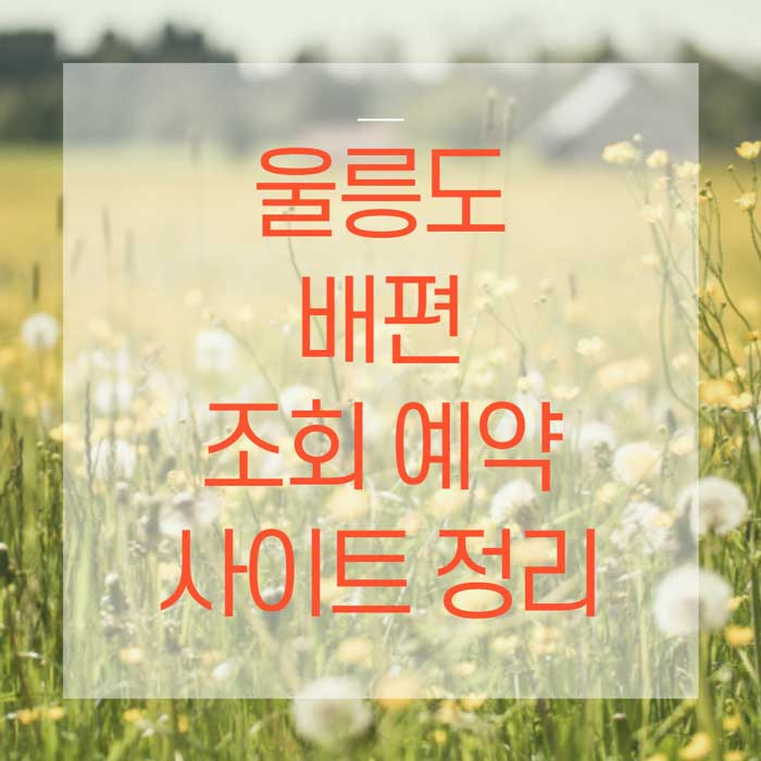 울릉도 가는 배편 이제는 한 곳에서 간편하게 조회 예약하자