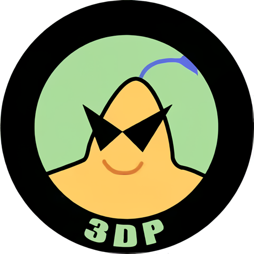 3dp chip 