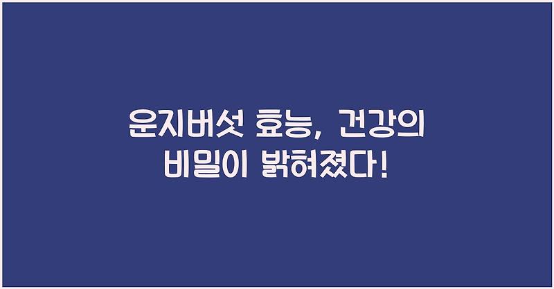 운지버섯 효능, 건강의 비밀이 밝혀졌다!