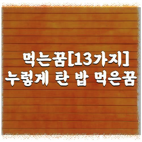 먹는꿈[13가지] 누렇게 탄 밥 먹은꿈