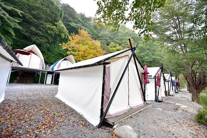 [경기도 가평군] 하늘숲글램핑 파크 - 계곡과 산을 속에 묻혀있는 도심에서 가까운 캠핑장