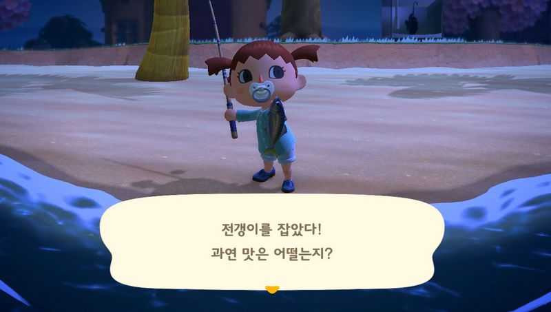 모여봐요 동물의 숲 모동숲 물고기 도감 종류 잡는법 가격