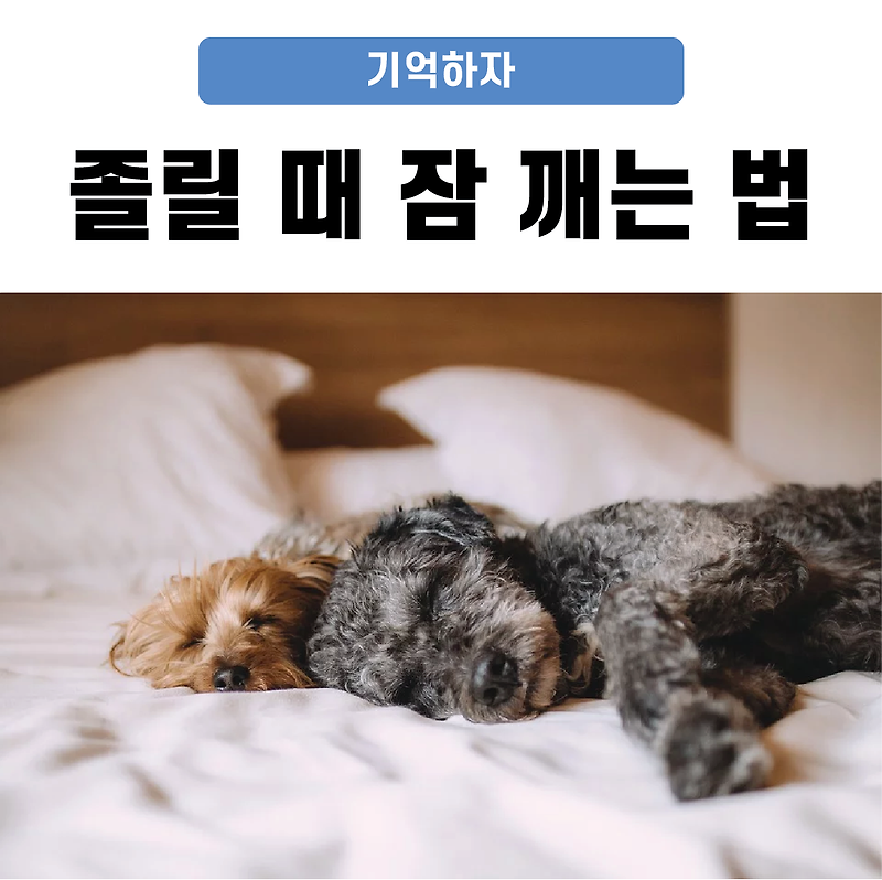 졸릴때 잠깨는 법 기억하자