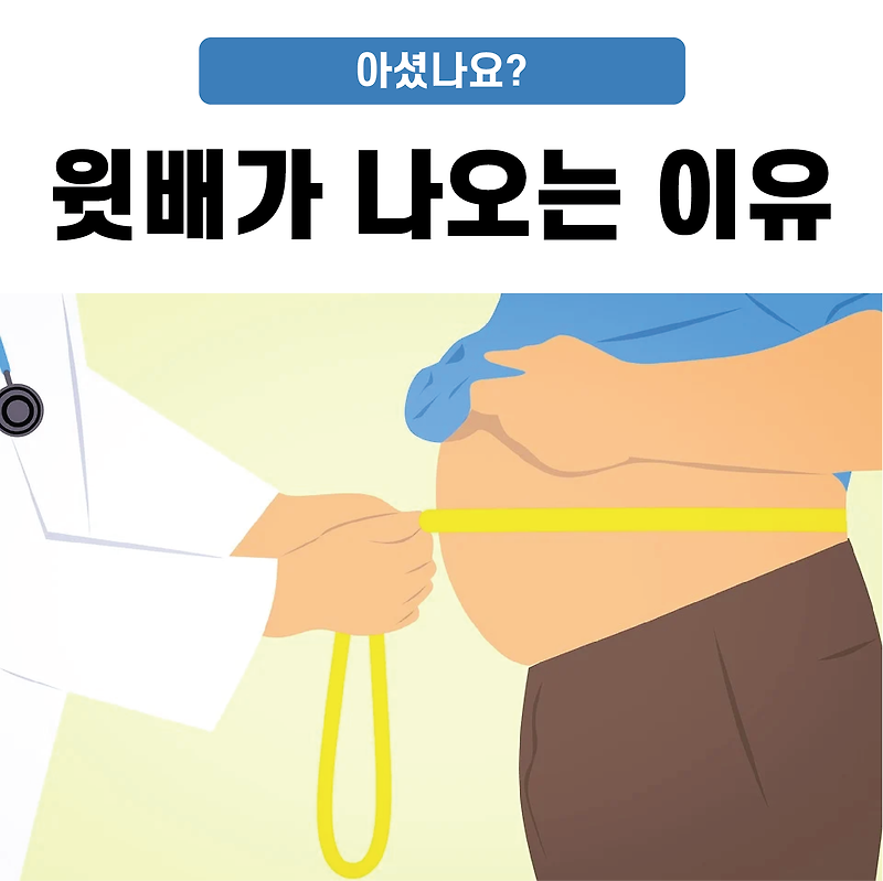 윗배가 나오는 이유 아셨나요?