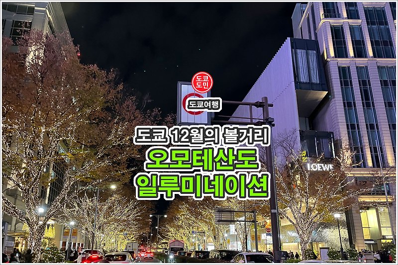 도쿄 볼거리 - "오모테산도 일루미네이션" 12월 도쿄여행 추천 관광지