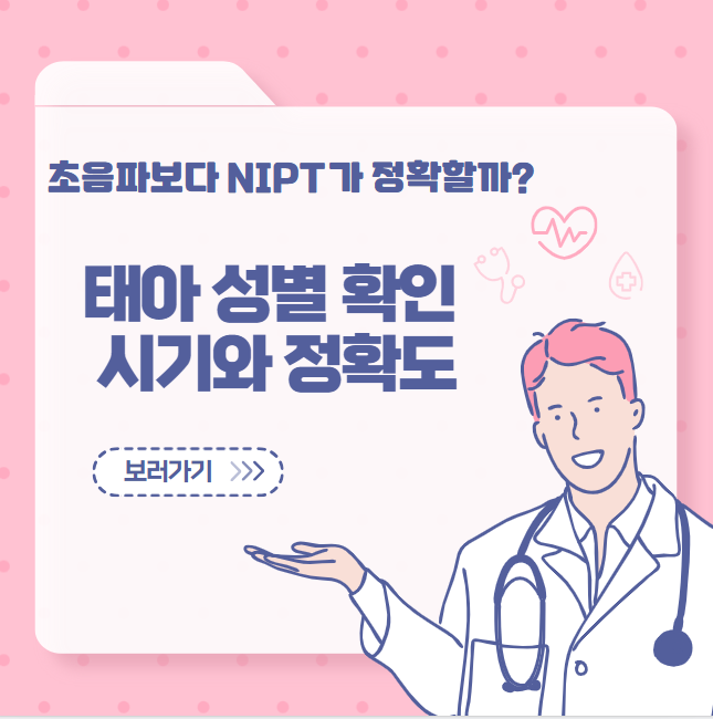 태아 성별 확인 시기와 정확도 – 초음파보다 NIPT가 정확할까?