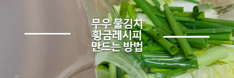 간단한 무우 물김치 황금레시피 만드는 방법