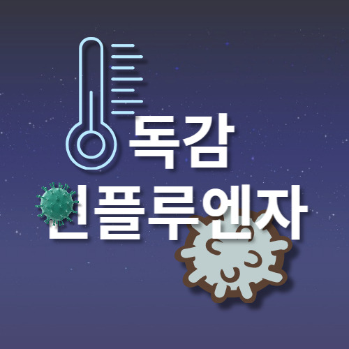 독감 인플루엔자 증상 치료 예방접종