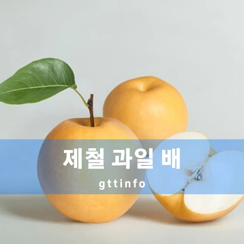 제철 과일 배의 역사 및 효능에 대한 건강 이점 알아보기