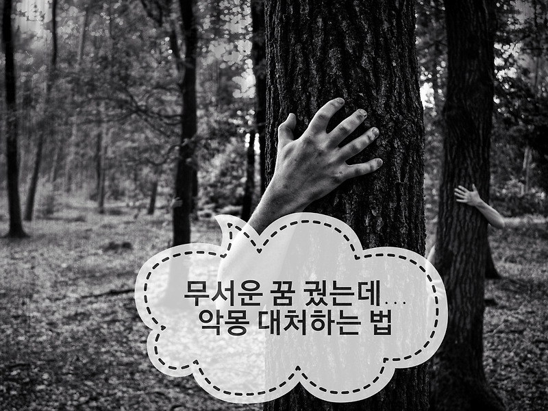 무서운 꿈을 꿀 땐 어떻게 해요? 무서운 꿈 무서운 꿈 꿨을 때 - 상식은 권력이다
