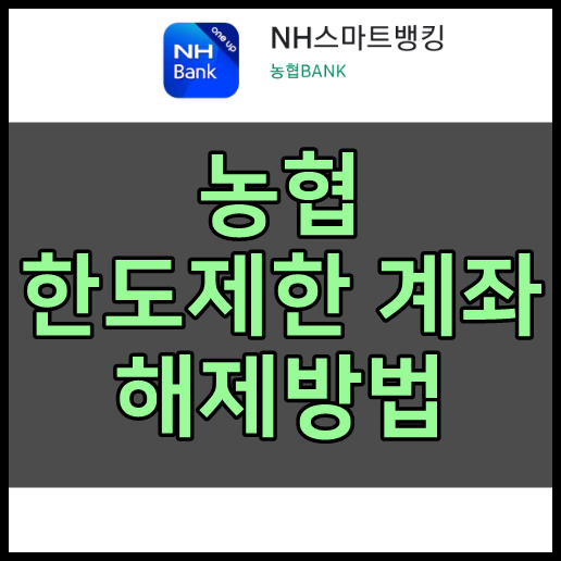 농협 한도제한계좌 해제방법