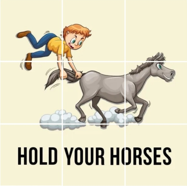 hold-your-horses