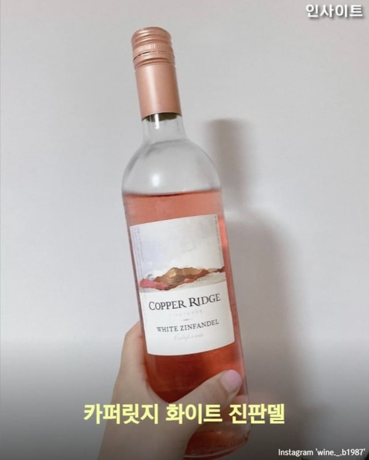 호캉스 필수템 핑크색 술 모음