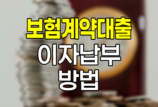 삼성화재 보험계약대출 이자납부 다양한 방법