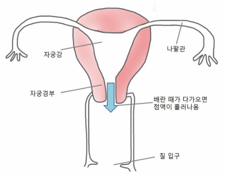 냉이 많이 나와요 나오는 이유 알아보기