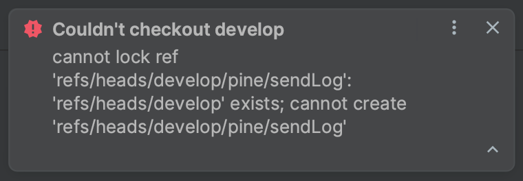 git Couldn't checkout develop - cannot lock ref 에러
