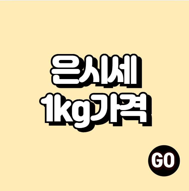 은시세 1kg가격, 오늘의 은값 시세